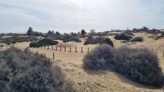 2023-GC--Mapalomas dunas-S123-227.jpg